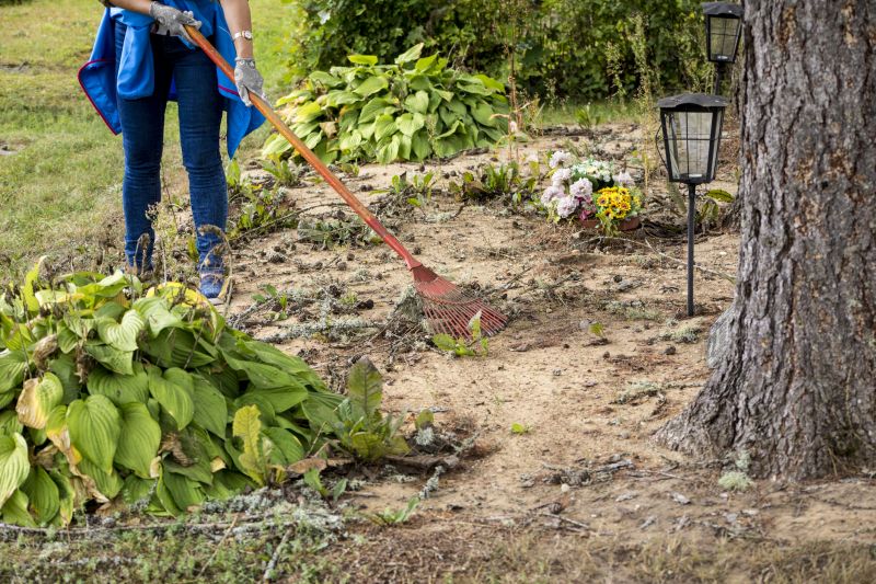 Land Clearing Permits and Documentation