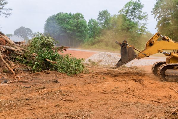 Ground Clearing in Eagle River