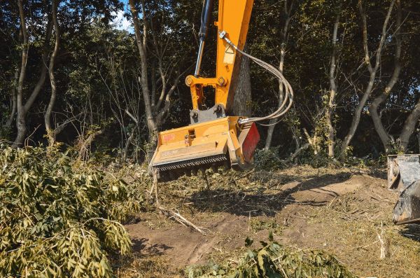 Brush Removal Service in Eagle River