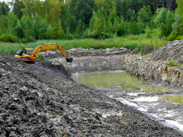 Cost of Lake Lot Clearing in Eagle River
