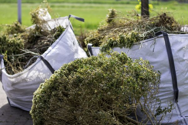 Cost of Bushes Clearing in Eagle River
