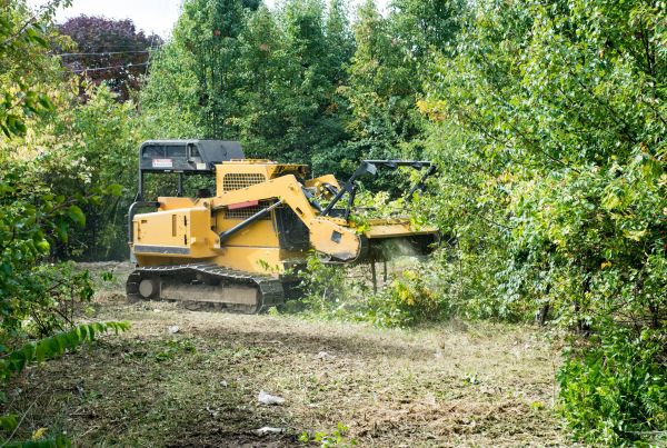 Cost of Pathway Clearing in Eagle River
