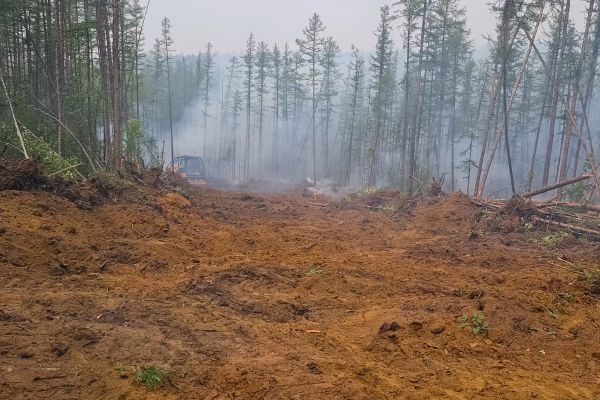 Cost of Hill Clearing in Eagle River