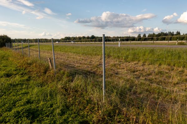 Cost of Property Line Clearing in Eagle River