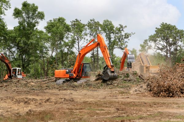 Cost of Commercial Lot Clearing in Eagle River