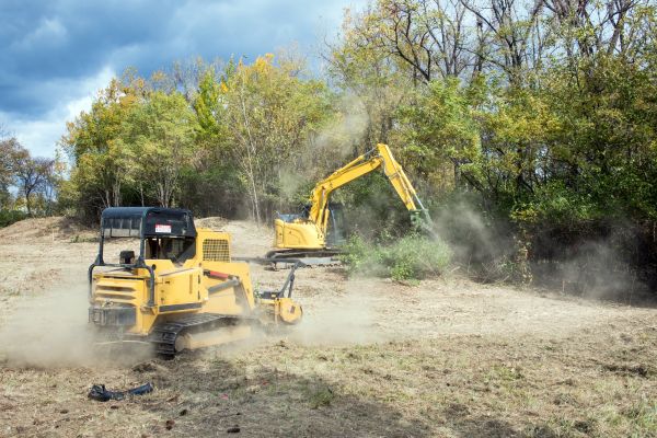 Cost of Terrain Clearing in Eagle River
