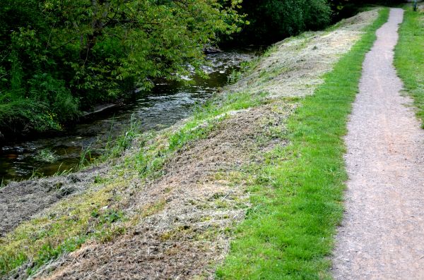 Cost of Trail Cutting in Eagle River